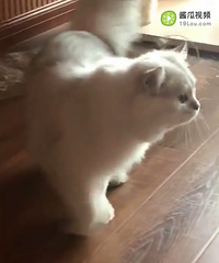 �Ҹ����׵�ҽԺ������