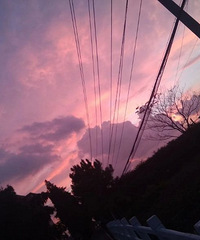 ��Ȼ������������ı��ְ������Ǽ�����