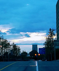 ����ȸ����������һ���׾Ƶ������£�����