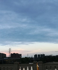 ����ȸ����������һ���׾Ƶ������£�����