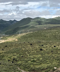 康定出发318国道的美景,因为路上堵车又
