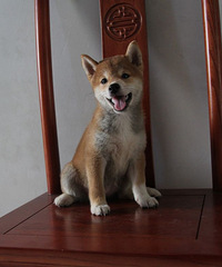 �Żݳ��۲�Ȯ����