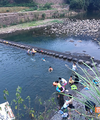 夏天玩水游泳抓小鱼