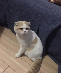 ��è��ʿ��