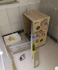 ��èһ�ԣ��ܵܺ����ã���Ѱ�а��ĵ���������