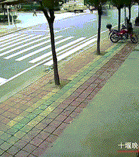 马路上就飞过来了!妈妈推着7个月宝宝散步,孩子被瞬间夺命!
