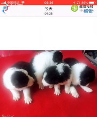 С��������ϲ����ϵ