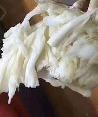 美味舟山螃蟹