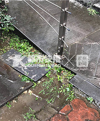 信义坊坠楼男孩 邻居猜测他是从没安装窗户的露台上跌落