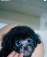 ����̩�����¼�