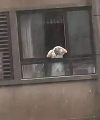 神操作!男子用雨水洗头,网友:被雷击中还可以免费烫发
