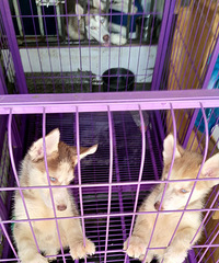 �������������������Ǯ�����߰�