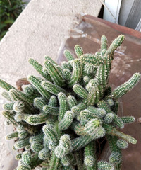 ̨��������