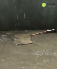 ����ĳסլ¥һ����ͷ�ˮ�� ���񳵿��α��� ��ʧ���أ�