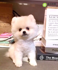 С���� �ؼ�1500