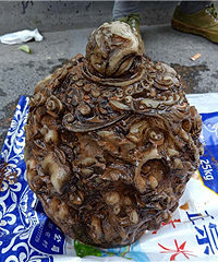 千元售卖清朝古董!?