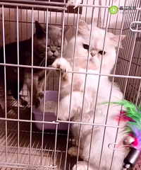 8���½����ܵ�1280