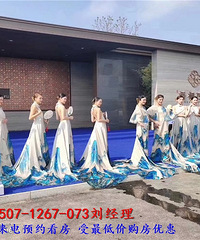 梧桐湖新城梧桐四季别墅房价多少?赠送大不大?适合养老吗?