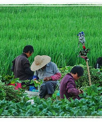 �����Ϻ�����