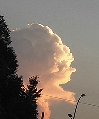 ��ԭӢ��С����