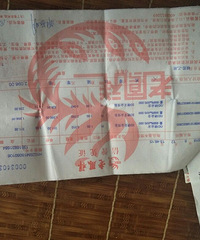 ���ڵĵ�Ҷ�����ô��ƭ�����ߵ���