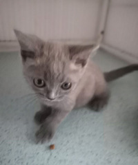 С������