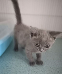 С������