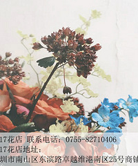 情愫似种子发芽|南山区花卉公司