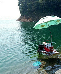 钓鱼的瘾又犯了…