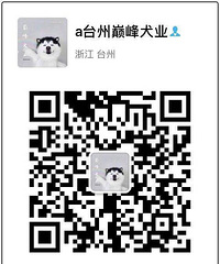 ϲ������ı����ǿ�����