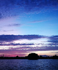 ����ĳ��������(�ֻ���)