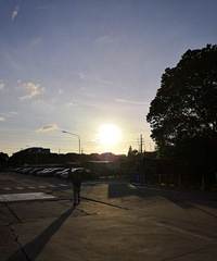 ������ϼ����