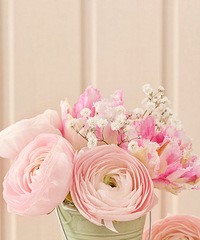 Ҳ�����һ�������Ƕ�����һ���ˣ�������