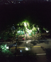 ������ϡ