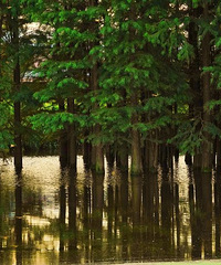 ������ҵ�