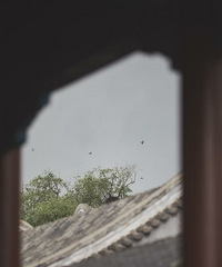 【九张图】打卡+美景