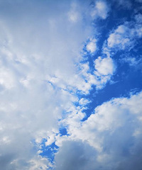 ���ϵ����