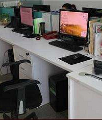 [���]�������룬����������ʲôè�壡