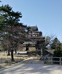 �����㲻����