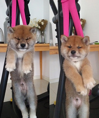 ��Ȯ�������¼�