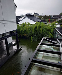 ��ʦ����ѽ