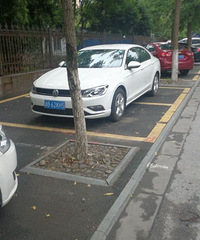 ��ͣ��������