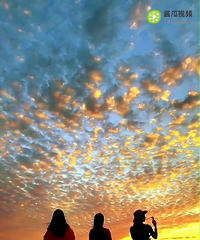 ����һ�죬��ᾲ�����������������������