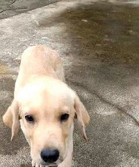 ��800̩��666��ë666��ʿ��1ǧ��������1ǧ�͸�1ǧ