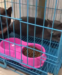 �����������������è������è