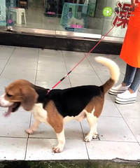 �ȸ�Ȯ��������������ڽ���