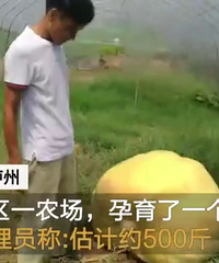 ũ����500������Ϲϣ�ζ��̫���ȥι��