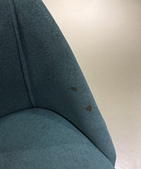 这就是传说中的网红亲子餐厅?!