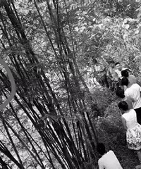 ���Ҿ����ݲ�������������Űɱ8���Ů�������������˷�ָ��..