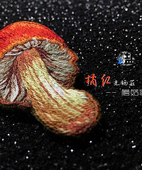 蘑菇家族养成记